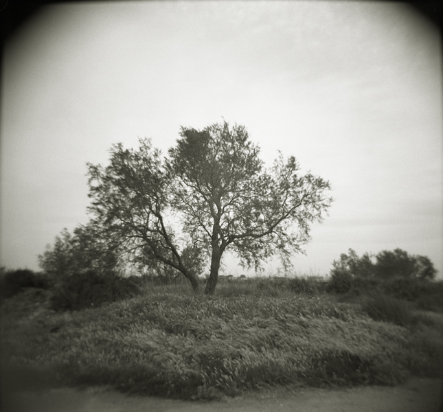 048 - 2012 - PORT-ST-LOUIS_HOLGA