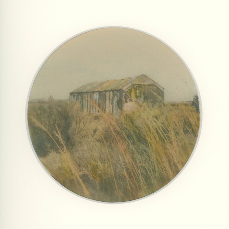 Camargue #13.3 : dans les hautes herbes